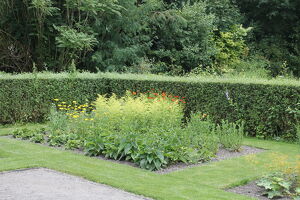 Bijen- en vlinderborder