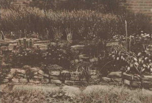 Voorbeeld van een te los gestapeld muurtje, daarentegen goed van beplanting, met een lavendelberg op de achtergrond